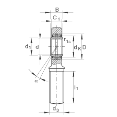 桿端軸承 GAL60-DO-2RS, 根據(jù) DIN ISO 12 240-4 標準，帶左旋外螺紋，需維護，兩側唇密封