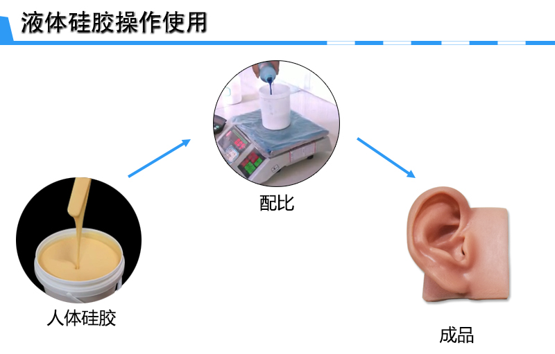 仿真人體硅膠操作